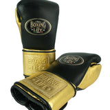 No Boxing No Life Training Gloves - Black/ Gold