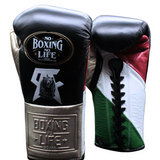 No Boxing No Life Fight Gloves - Canelo Edition - Canelo vs Crawford