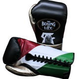 No Boxing No Life Fight Gloves - Canelo Edition - Canelo vs Crawford