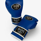 No Boxing No Life Training Gloves - Blue/ White