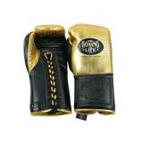No Boxing No Life Training Gloves - Metallic Gold/ Black