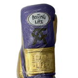 No Boxing No Life Fight Gloves - Canelo Edition - Canelo vs Charlo