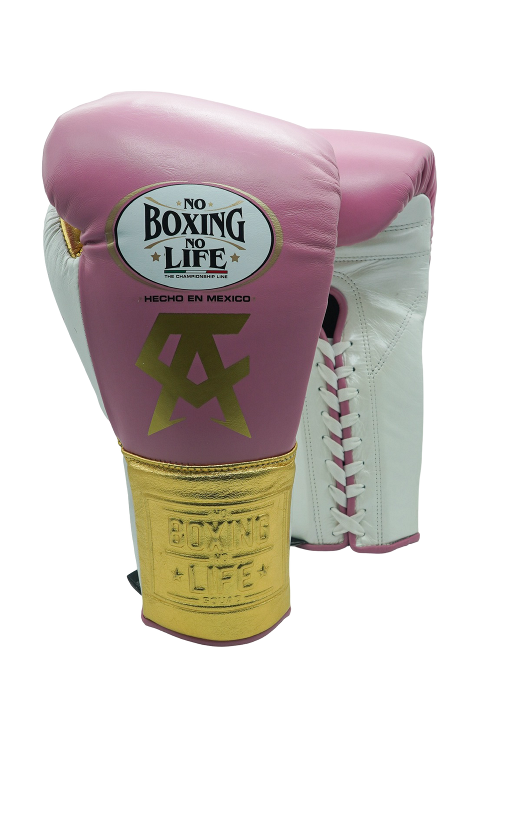No Boxing No Life Training Gloves - Canelo Edition - Canelo