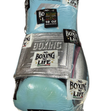 No Boxing No Life Fight Gloves - Canelo Edition - Sky Blue/ Silver/ Pink
