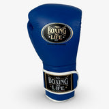 No Boxing No Life Training Gloves - Blue/ White