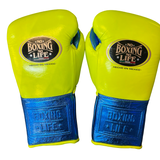No Boxing No Life Guantes de Entrenamiento - Verde Azulado Metálico/ Blanco