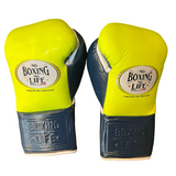 No Boxing No Life Guantes de Entrenamiento - Dorado Metálico/ Negro