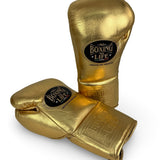 No Boxing No Life Fight Gloves  - Metallic Gold