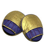 No Boxing No Life Precision Mitts - Lila/ Metallic Gold