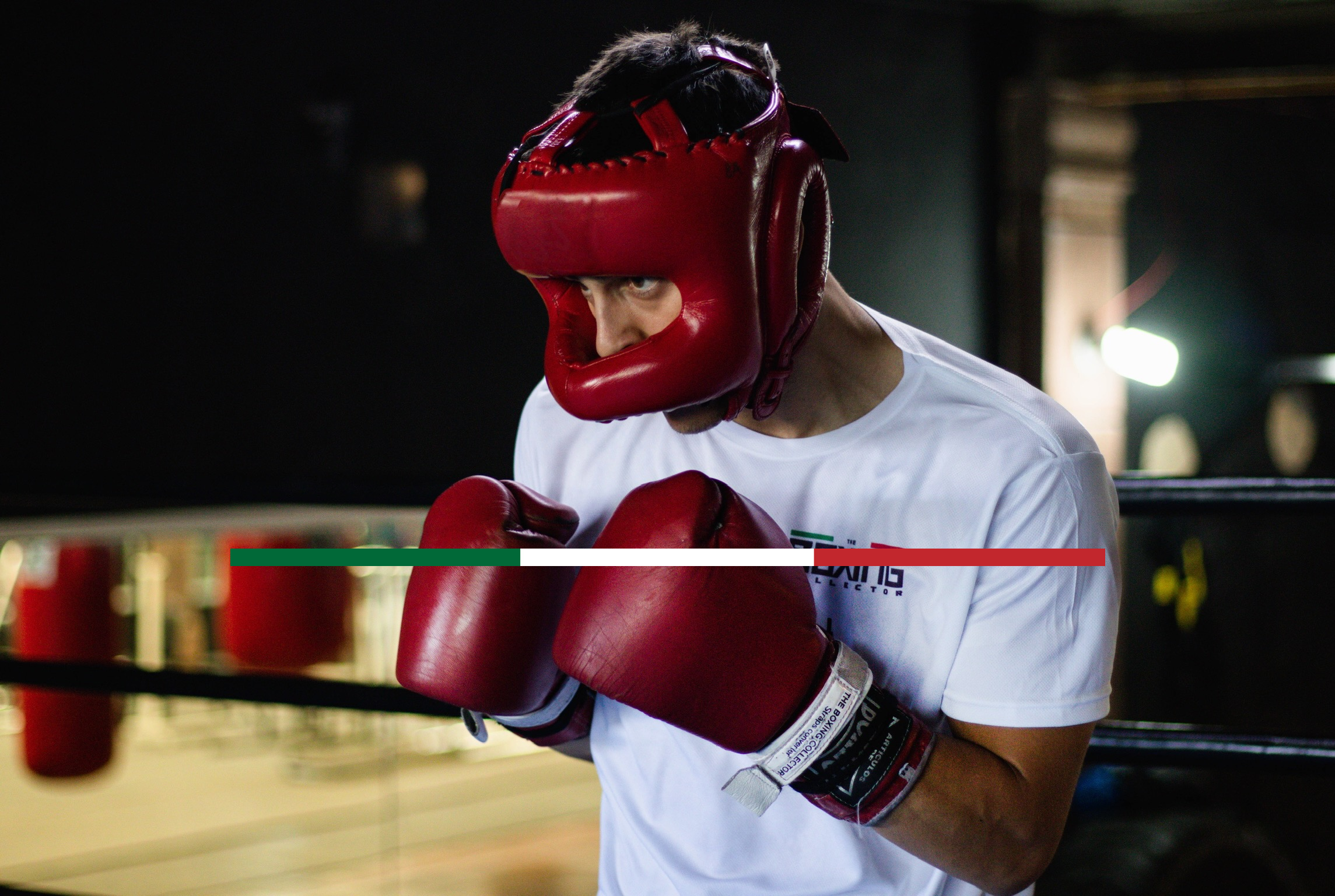 Custom Hand Made in Mexico Boxing Gloves Boxing Collector