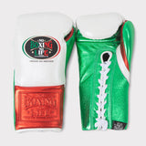 No Boxing No Life Guantes de Entrenamiento - MX Tricolor